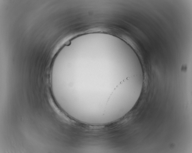 X0000113111055200908281012