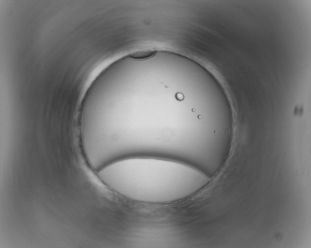 X0000113111056200908281012