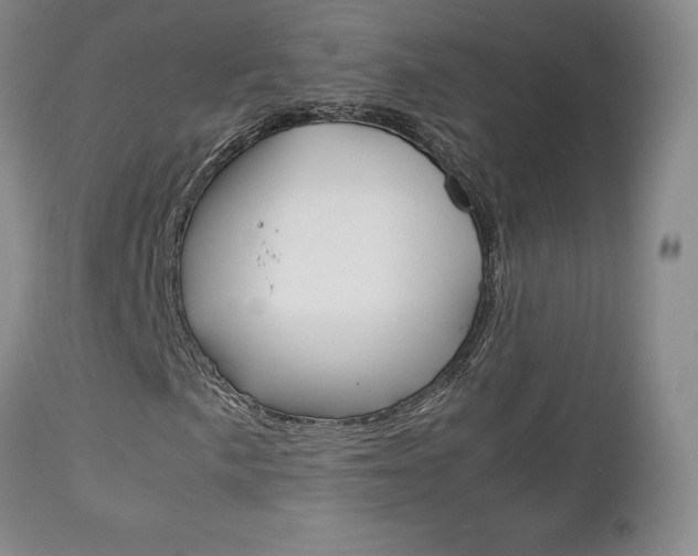 X0000113111057200908281012