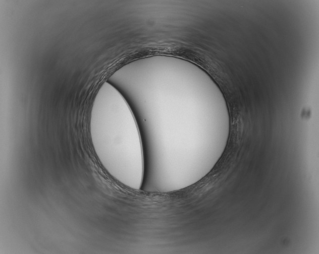 X0000113111058200908281012