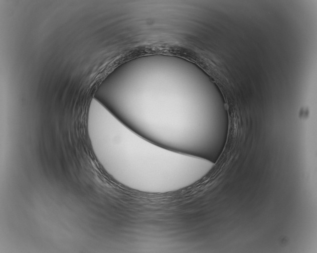 X0000113111060200908281012