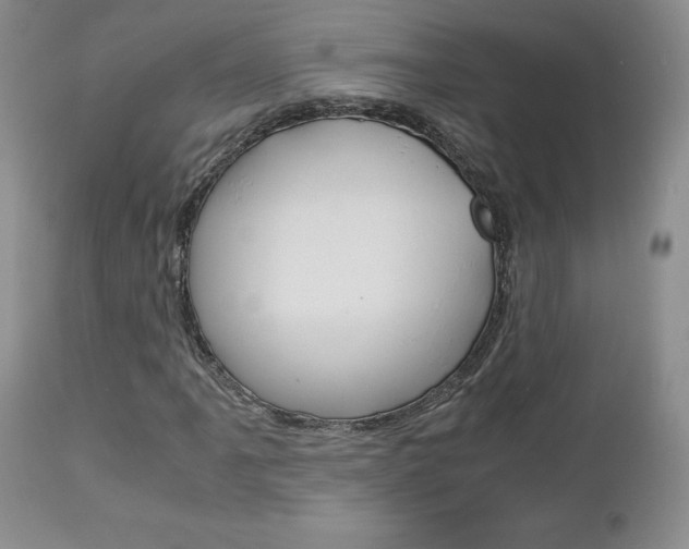 X0000113111061200908281012