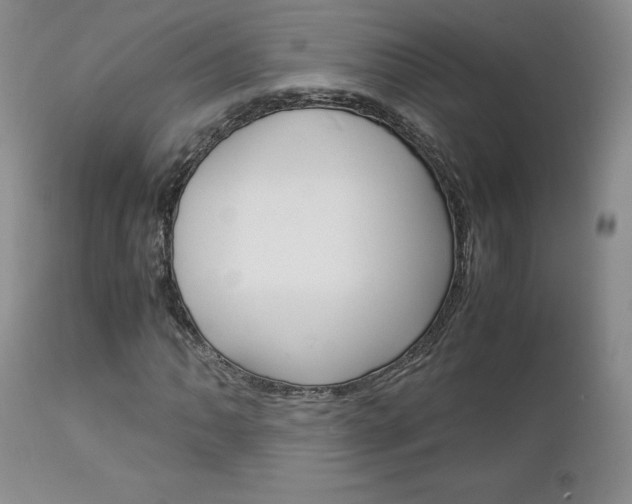 X0000113111062200908281012
