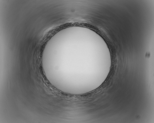 X0000113111063200908281012