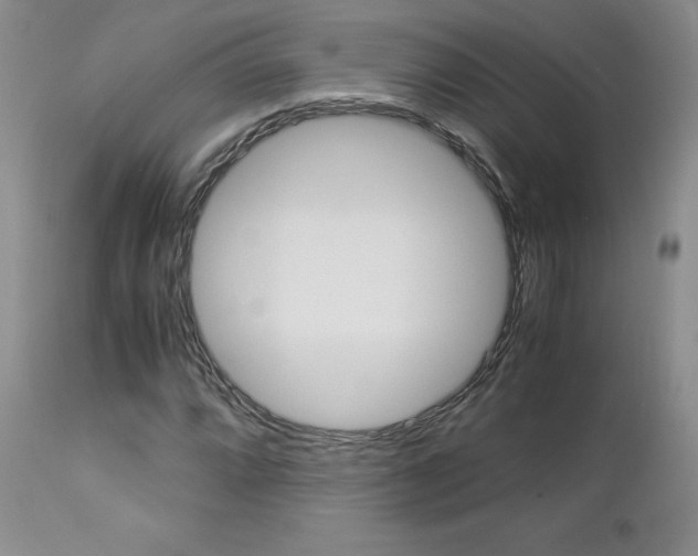 X0000113111064200908281012