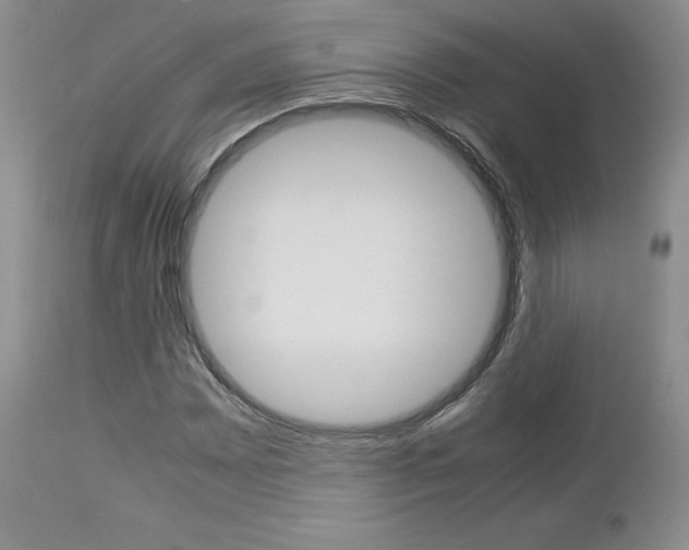 X0000113111065200908281012