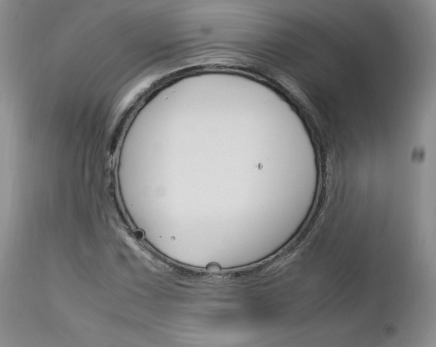 X0000113111067200908281012