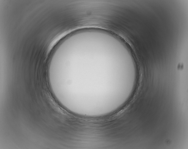 X0000113111069200908281012