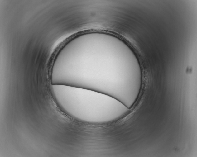 X0000113111070200908281012