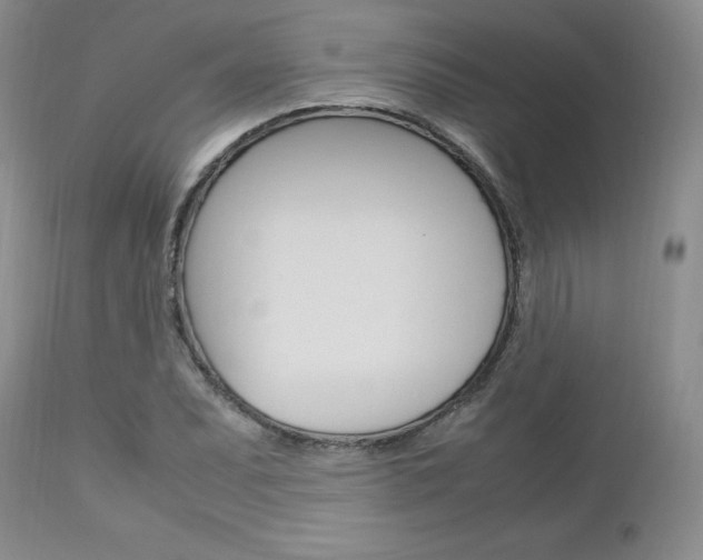 X0000113111071200908281012