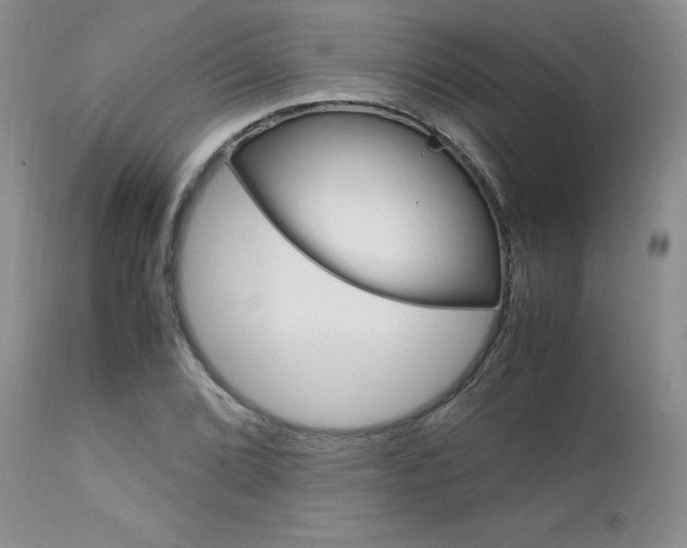 X0000113111072200908281012