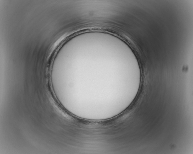X0000113111075200908281012