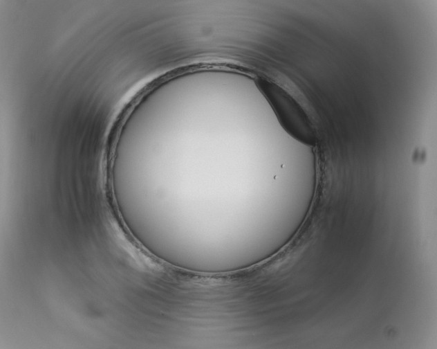 X0000113111076200908281012