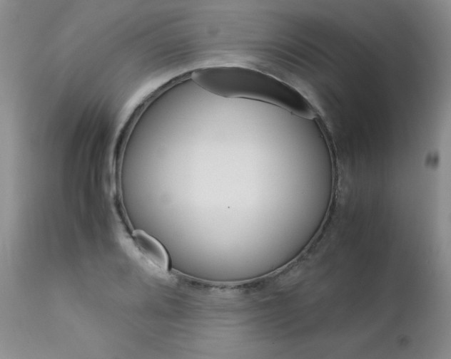 X0000113111080200908281011