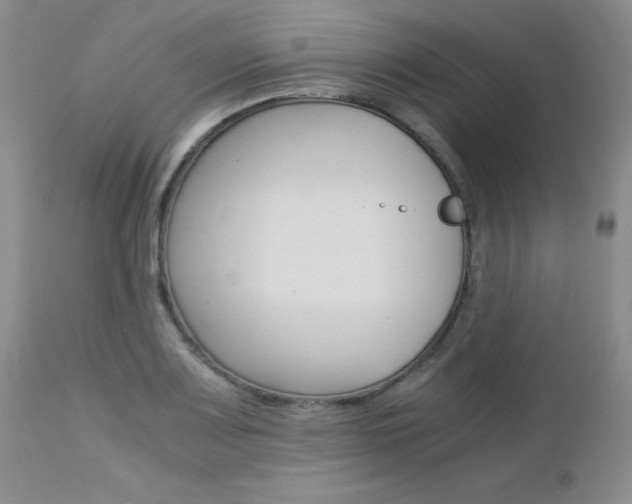 X0000113111083200908281011