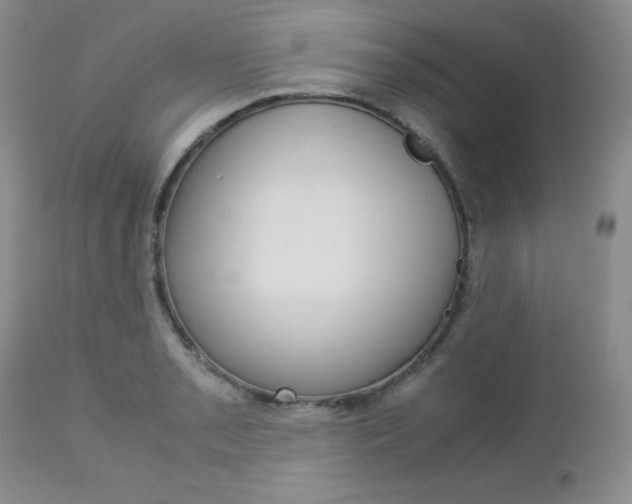 X0000113111085200908281011