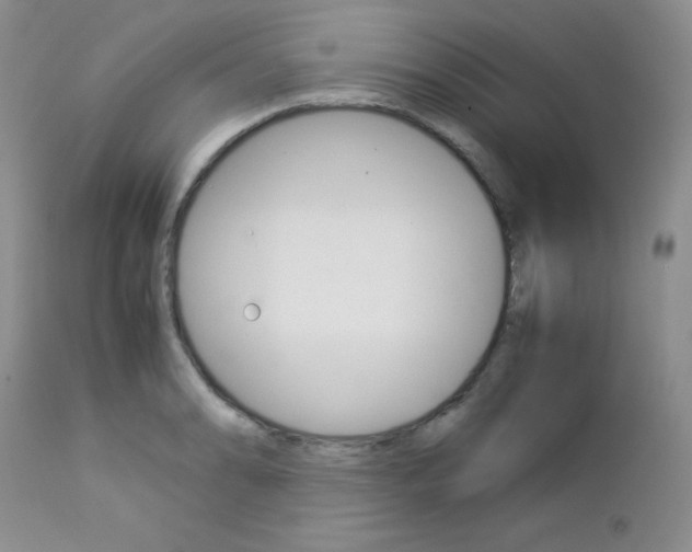 X0000113111086200908281011