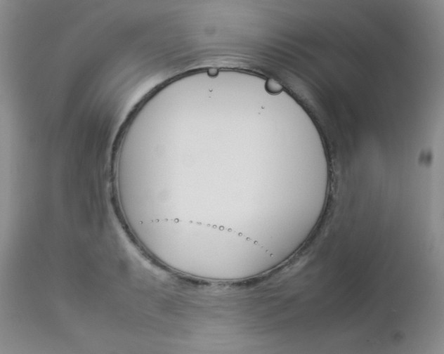 X0000113111087200908281011