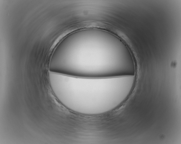 X0000113111089200908281011