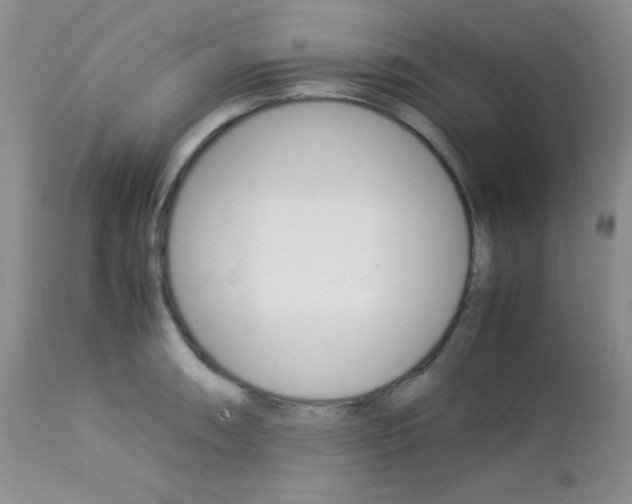 X0000113111090200908281011