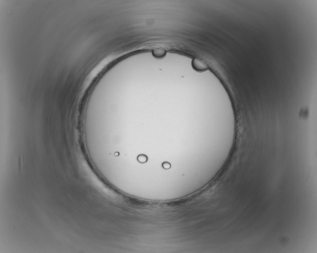 X0000113111091200908281011