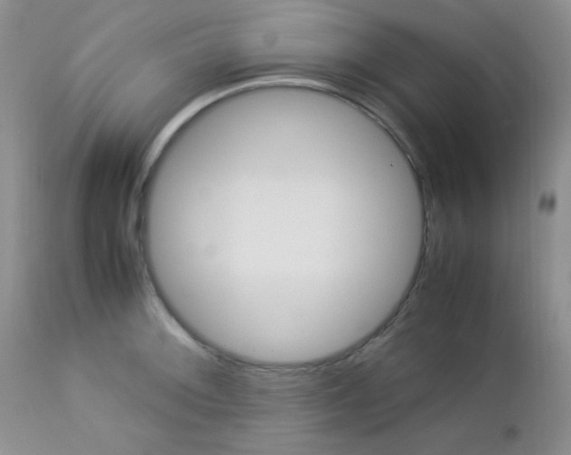 X0000113111092200908281011