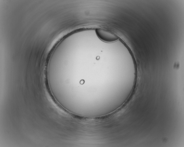 X0000113111093200908281011
