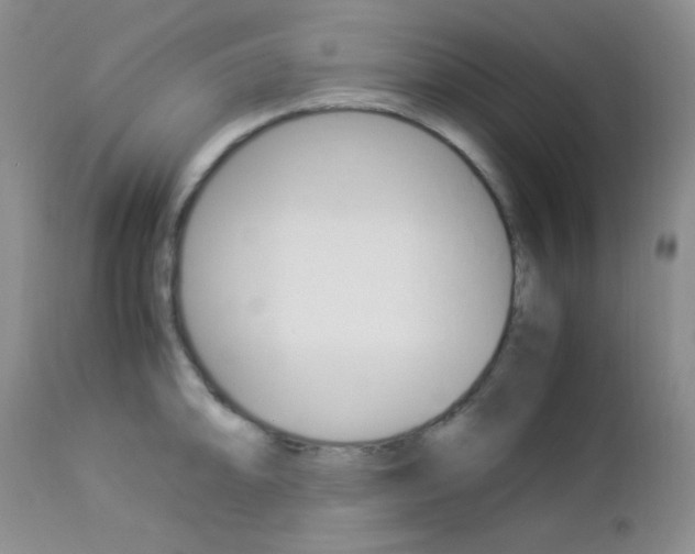 X0000113111094200908281011