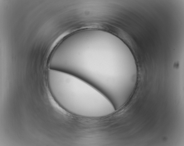 X0000113111095200908281011