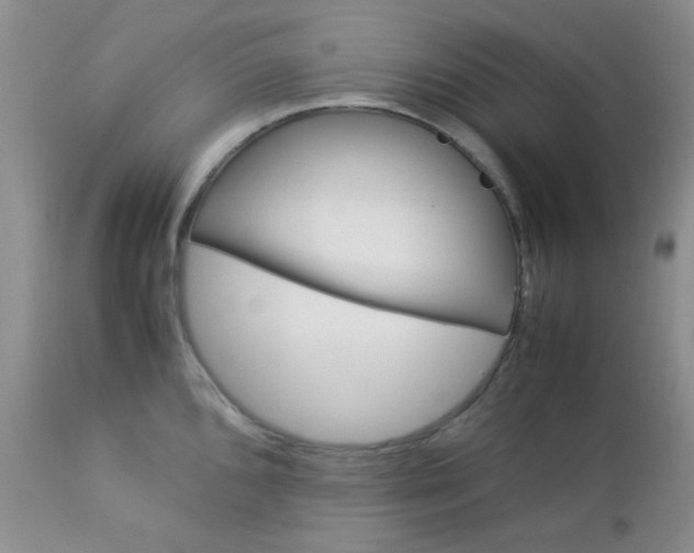 X0000113111096200908281011