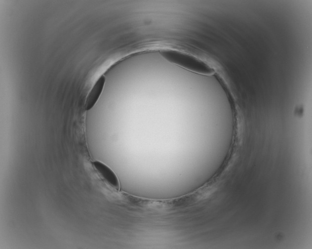 X0000113111097200908281011