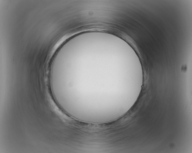 X0000113111099200908281011