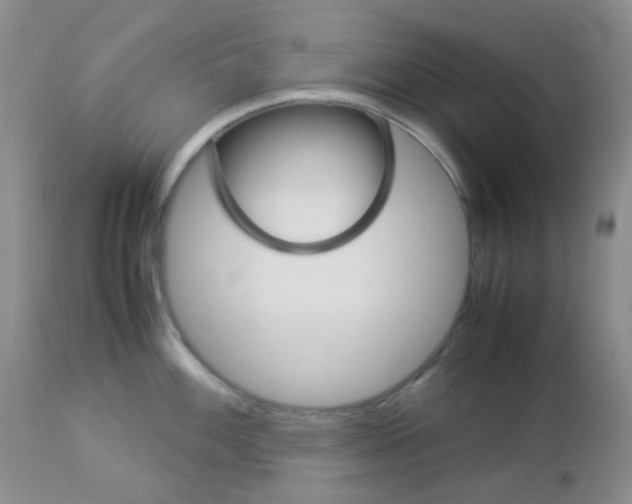 X0000113111100200908281011