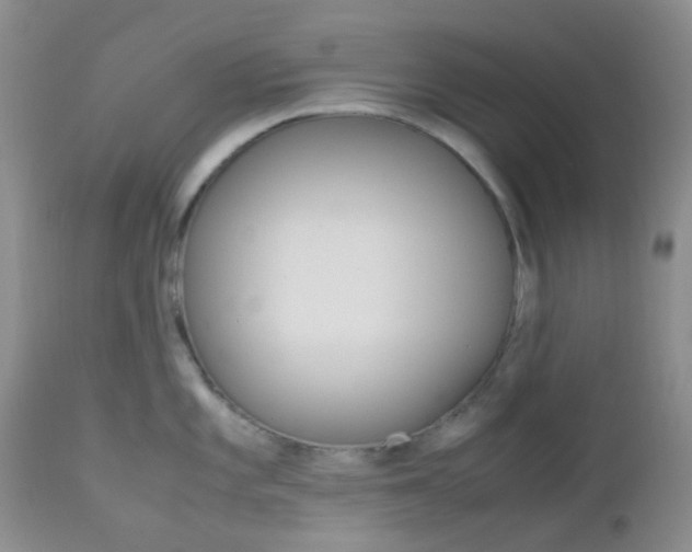 X0000113111101200908281011