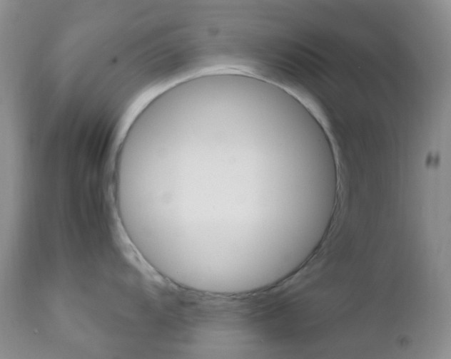 X0000113111104200908281011