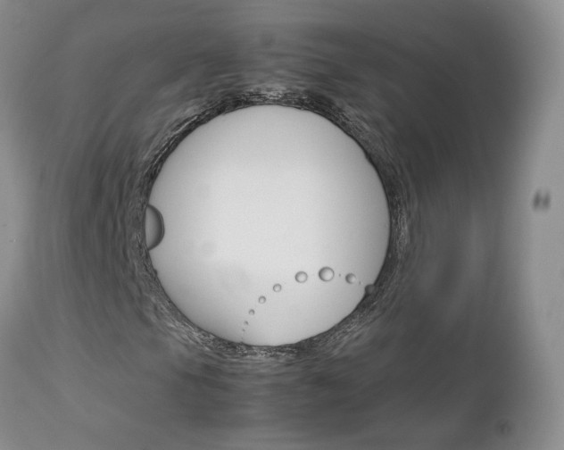 X0000113111105200908281010