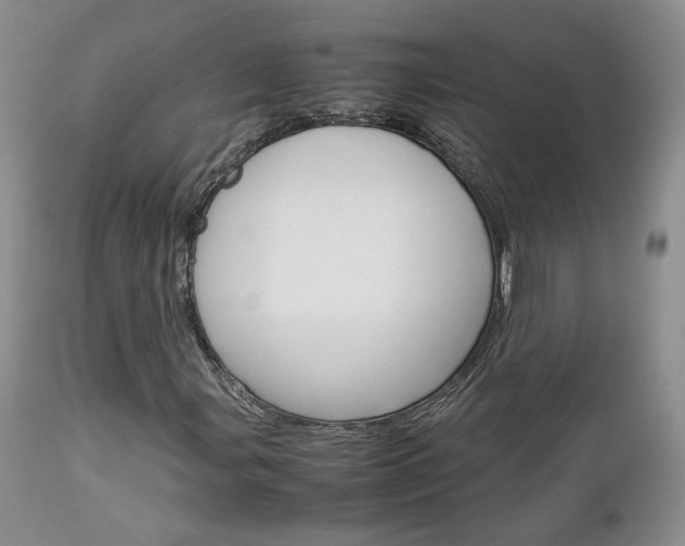 X0000113111107200908281010