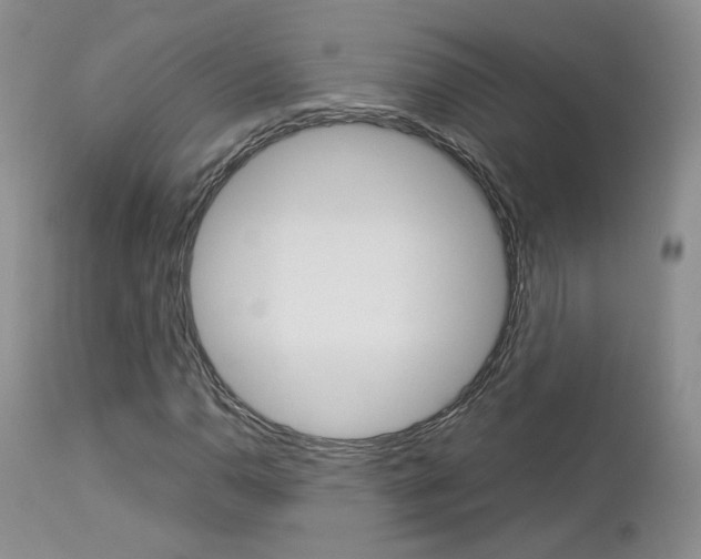 X0000113111110200908281010