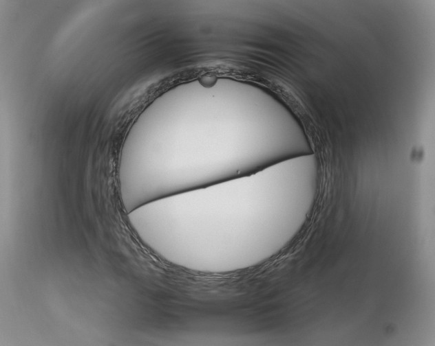 X0000113111111200908281010