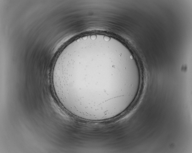 X0000113111113200908281010
