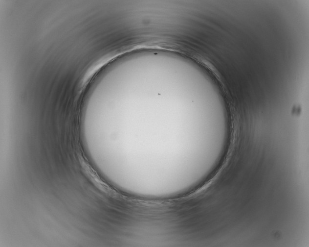 X0000113111114200908281010