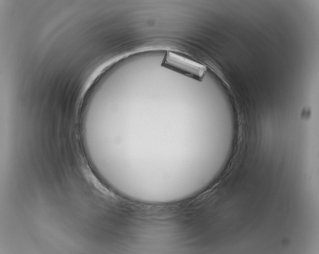 X0000113111116200908281010