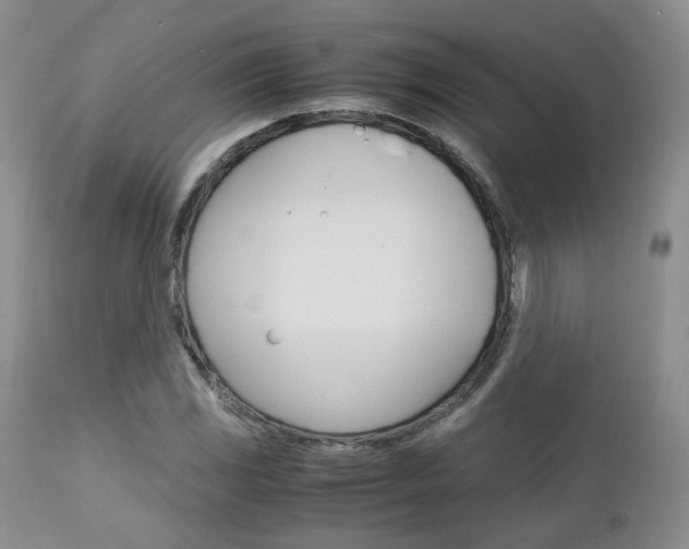 X0000113111117200908281011