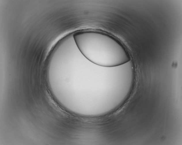 X0000113111118200908281011