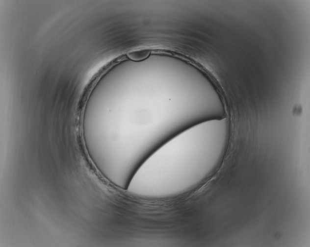 X0000113111119200908281011