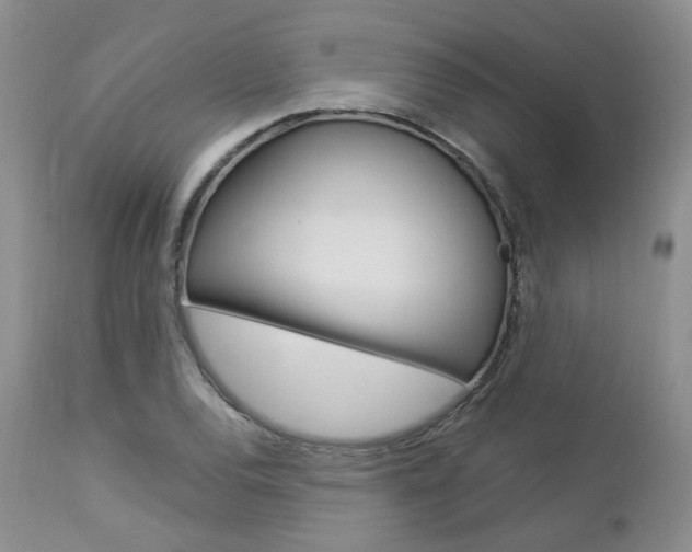 X0000113111120200908281011
