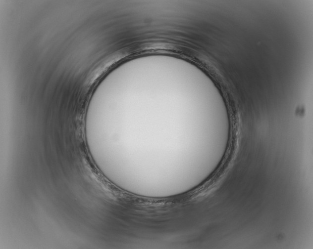 X0000113111121200908281011