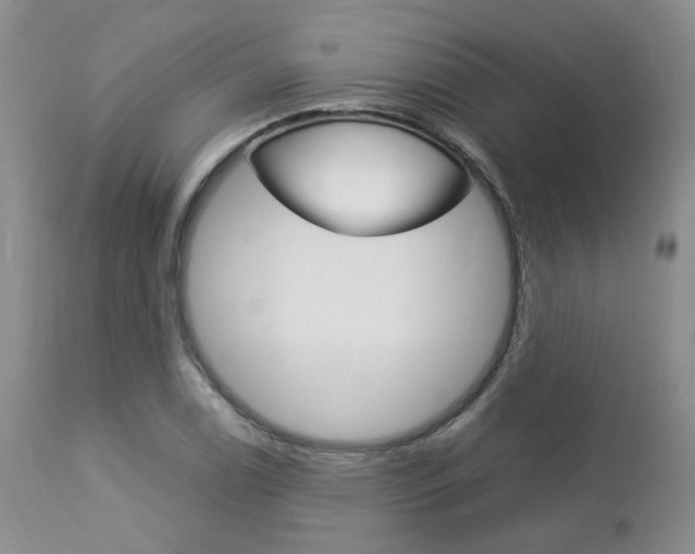 X0000113111122200908281011