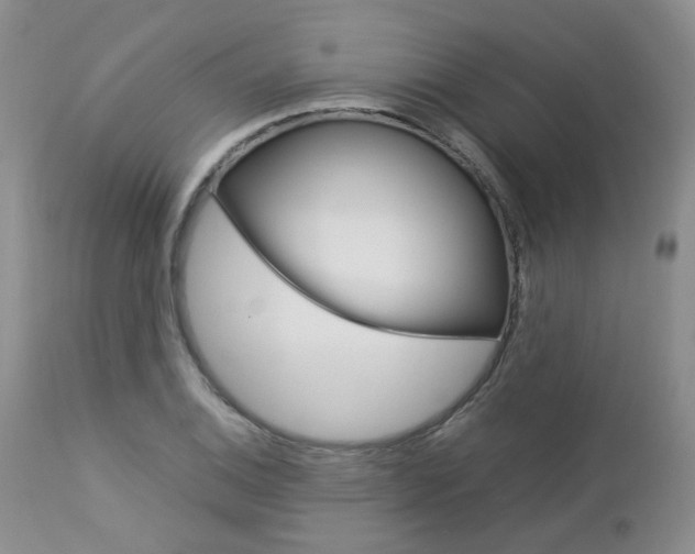 X0000113111124200908281011