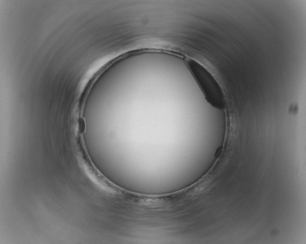 X0000113111128200908281011